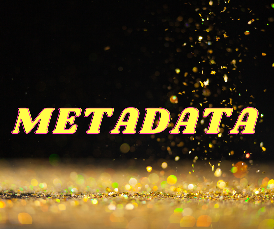 information on how to maintain your safety and confidentiality with your metadata    